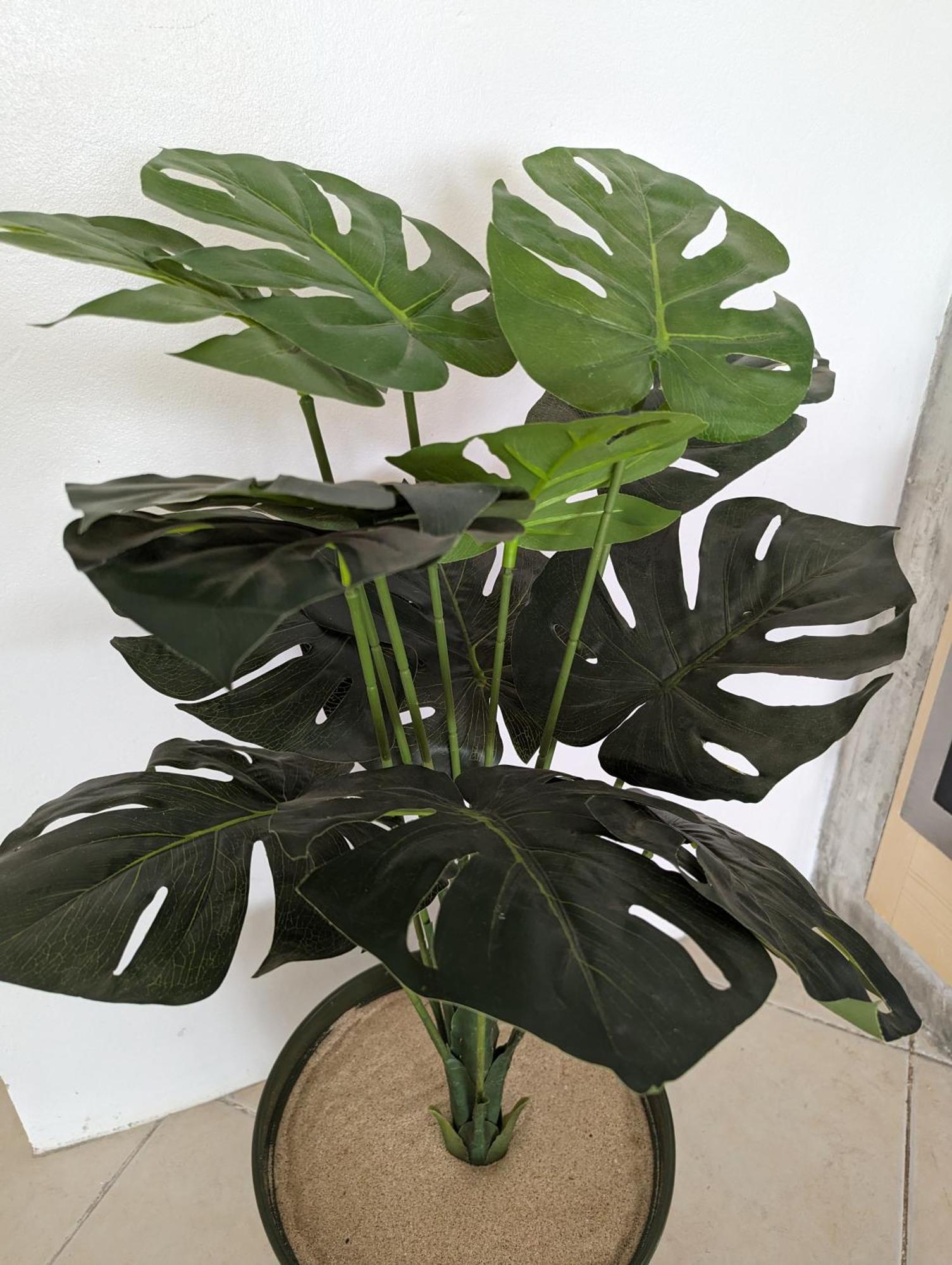 Tropical Leaves Sea View Penthouse Ca Greta 2 Floor Apartment Sal Rei Exterior photo